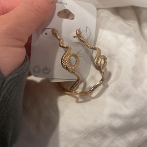 Snake Hoop Earrings